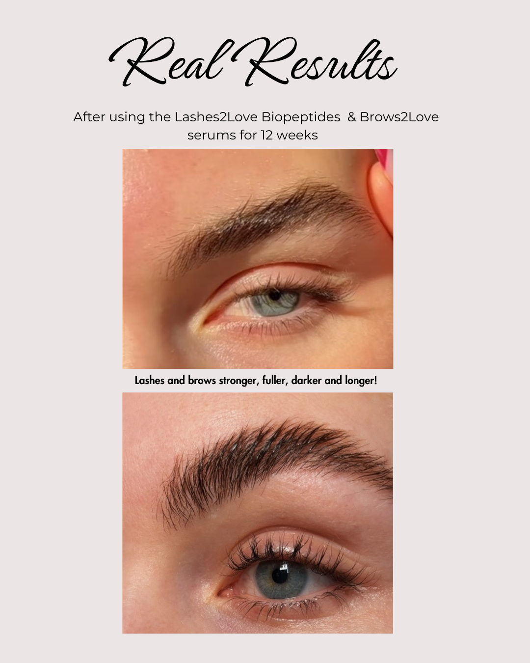 Results of lash and brow growth